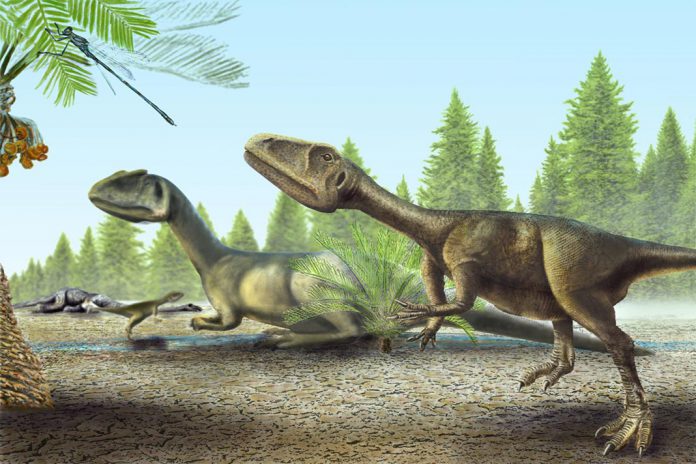 Pequeno dinossauro carnívoro descoberto perto de Torres Vedras