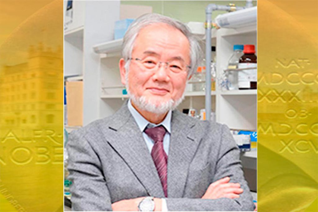 Yoshinori Ohsumi é o nobel de medicina de 2016 TV Europa