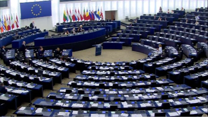 Eleições Europeias 2024: FIDH faz apelo para defesa de direitos humanos