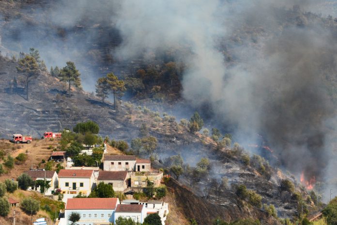 Calor e incêndios: Sociedade Portuguesa de Pneumologia faz recomendações para prevenir complicações respiratórias