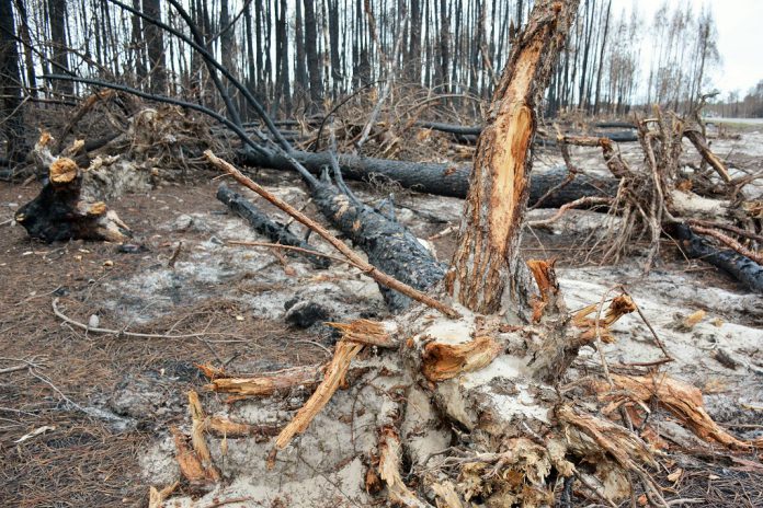 Conflito Rússia-Ucrânia com impactos duradouros na economia global e no meio ambiente