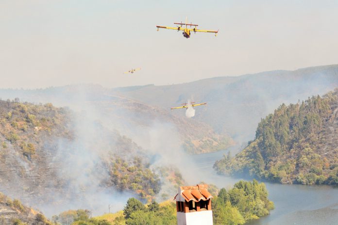 Conferência Episcopal Portuguesa manifesta solidariedade com os atingidos pelos incêndios