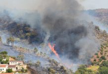 Agência portuguesa leva às Nações Unidas modelo de gestão dos incêndios rurais