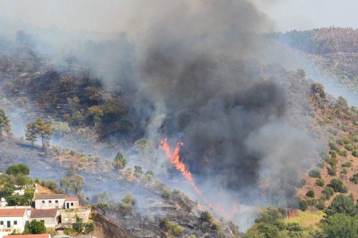Agência portuguesa leva às Nações Unidas modelo de gestão dos incêndios rurais