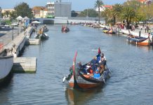 Aveiro debate futuro da Sustentabilidade e Inteligência Artificial