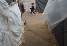 Gaza: operação humanitária deixou de poder atuar – relato de 7 de novembro