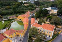 Escola Superior de Saúde Atlântica lança cursos de Pós-Graduação para enfermeiros