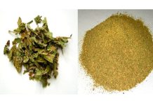 Alerta de investigadores sobre perigos do uso da droga kratom