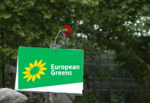 Verdes Europeus reagem à coligação no Governo holandês