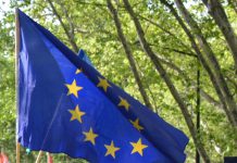 Federalistas Europeus reforçam apelo para criação dos Estados Unidos da Europa