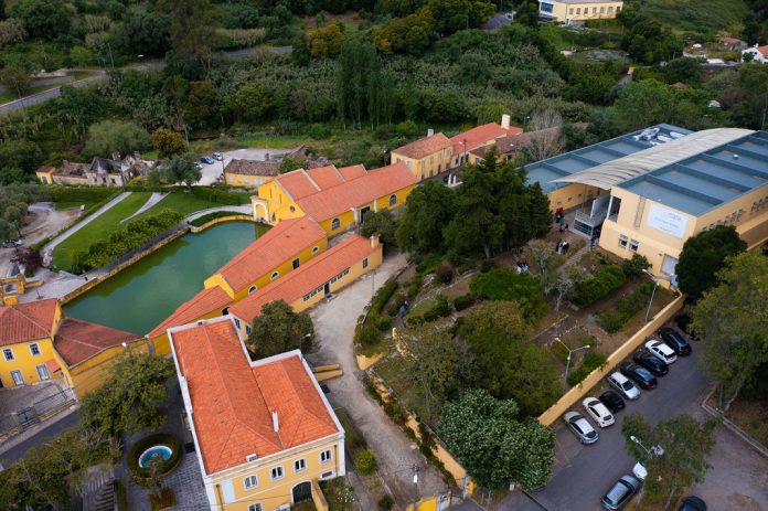 Escola Superior de Saúde Atlântica e organização de enfermeiros do Canadá formam cerca de uma centena de enfermeiros em Portugal